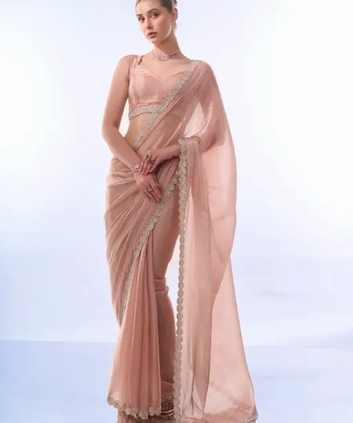 Fancy Burberry Border Saree