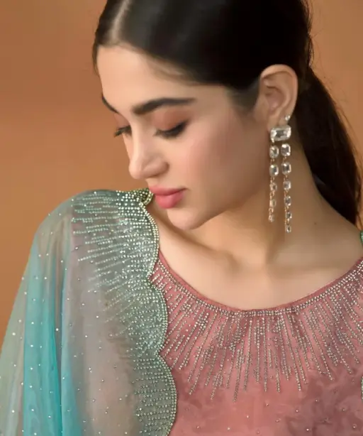Organza With Cristal Work Wedding Wear Ethnic Suit