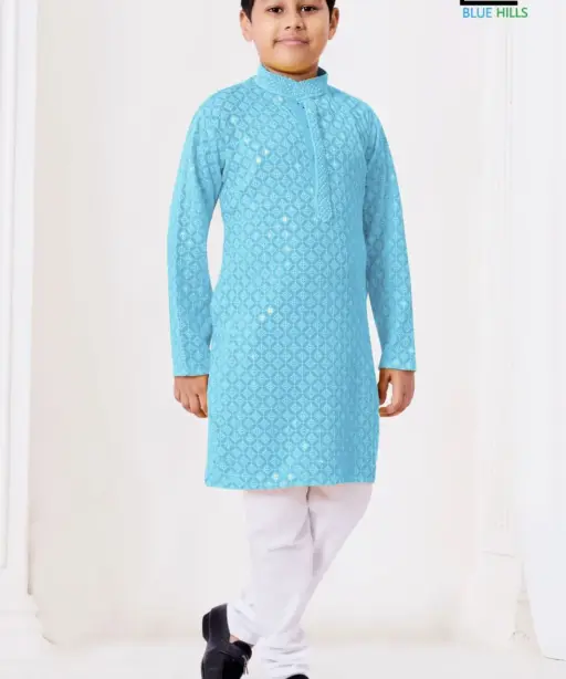 Traditional Boys Chikankari Kurta