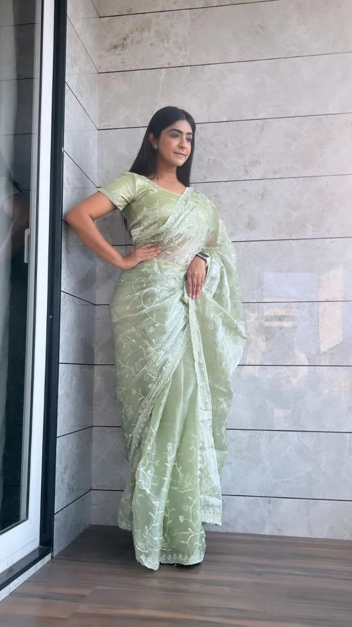 Jarkan Diamond Party Saree For Women - Image 6