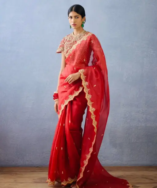 Beautiful Red Organza Saree Blouse