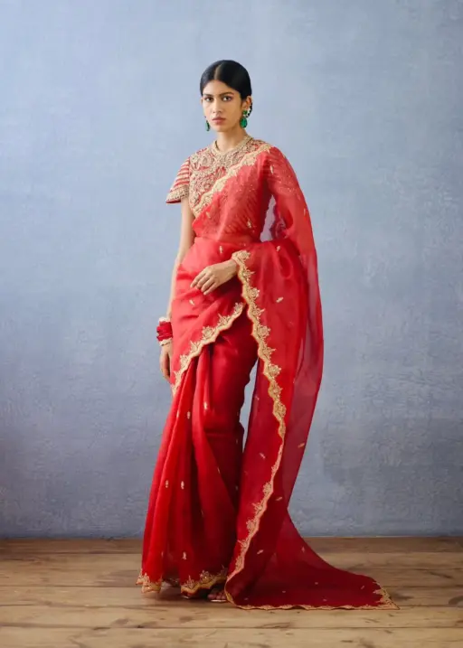 Beautiful Red Organza Saree Blouse