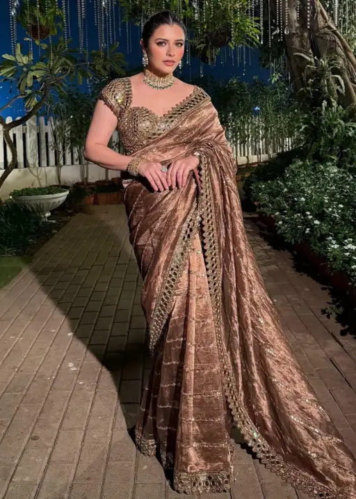 Real Mirror Work Organza Saree For Wedding 2025