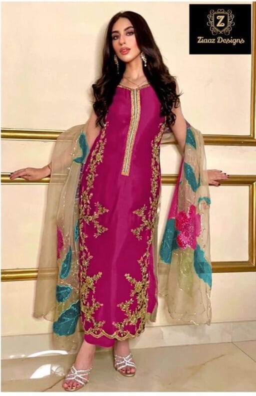 Embroidery Pakistani Dress