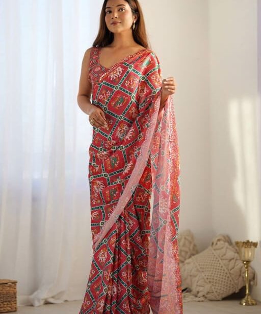 Alia Bhat Saree