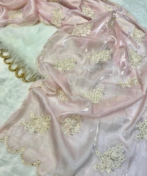 Bollywood Inspired Chitranga Singh Saree Style