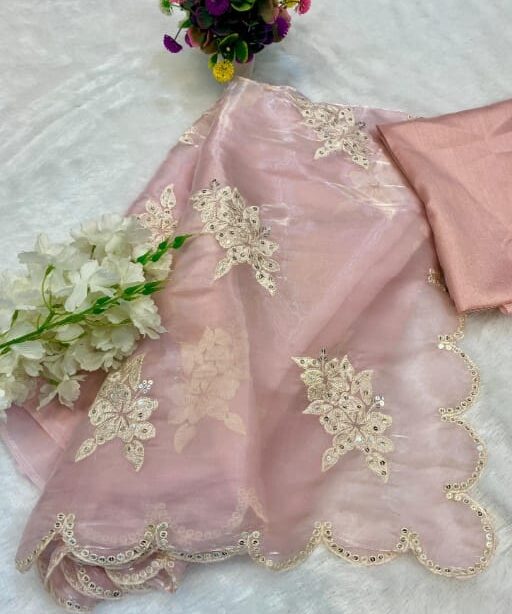 Bollywood Inspired Chitranga Singh Saree Style