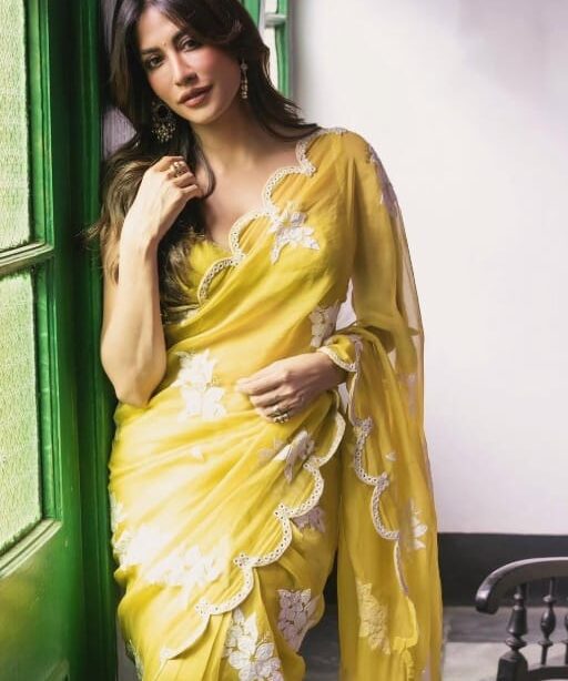 Bollywood Inspired Chitranga Singh Saree Style