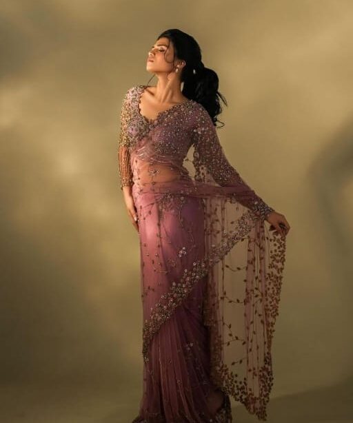 Bollywood Inspired Soft Net Saree with Flower Embroidery