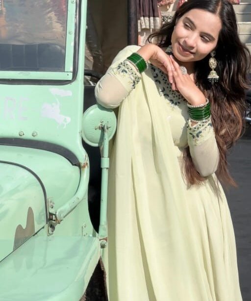 Readymade Pista Color Anarkali Gown With HandWork