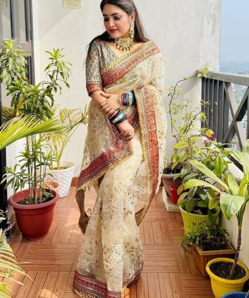 Bollywood Inspired Wedding Wear Border Saree