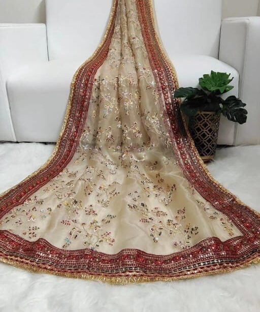 Bollywood Inspired Wedding Wear Border Saree