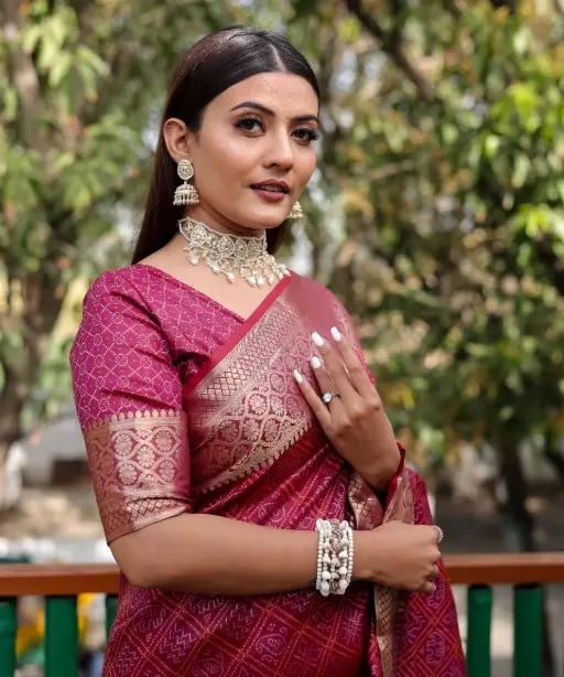 Designer Bandhej Patola Silk Saree
