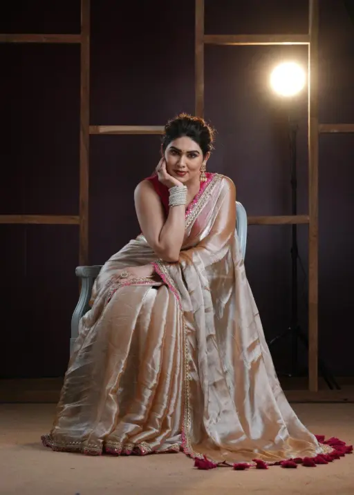 Bollywood Tissue Border Saree