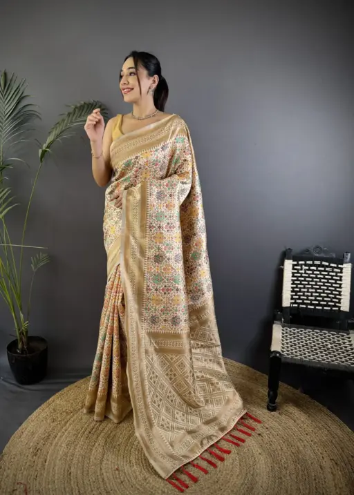 Premium Banarasi Patola Silk Sarees