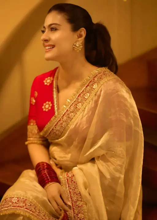 Durga Pooja Madhuri Inspired Saree