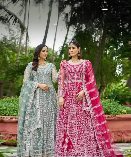 Net Embroidery Anarkali Dress