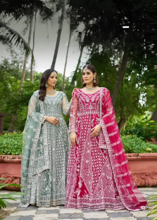 Net Embroidery Anarkali Dress