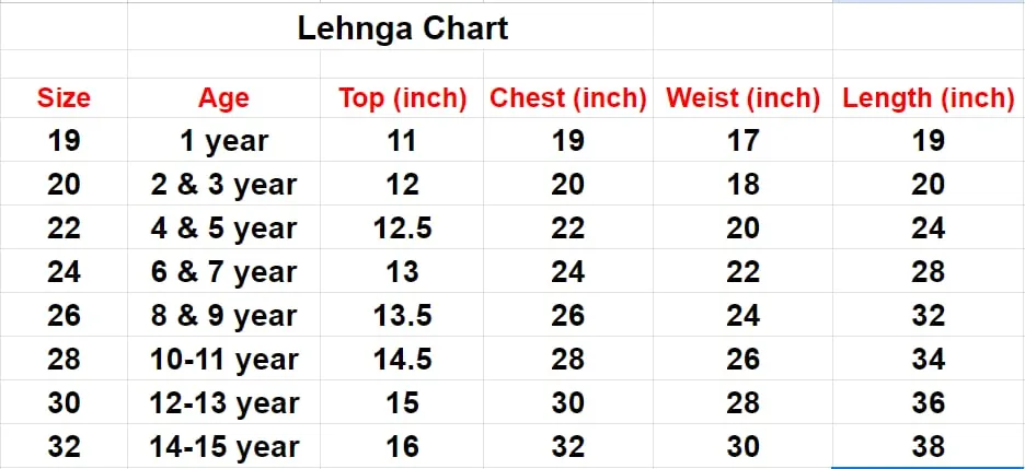 Paithani Kids Lehenga Choli - Image 4