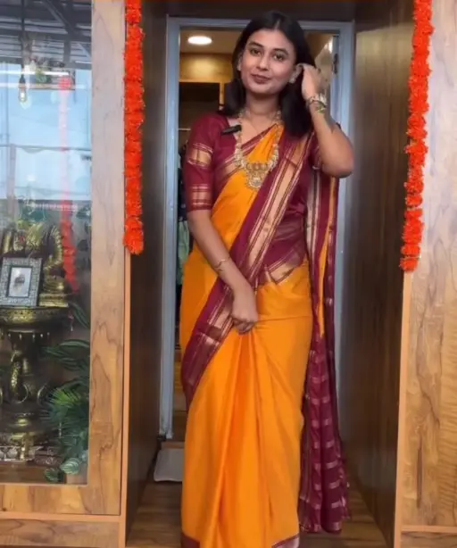 Mysore Silk Zip and Go Saree gown