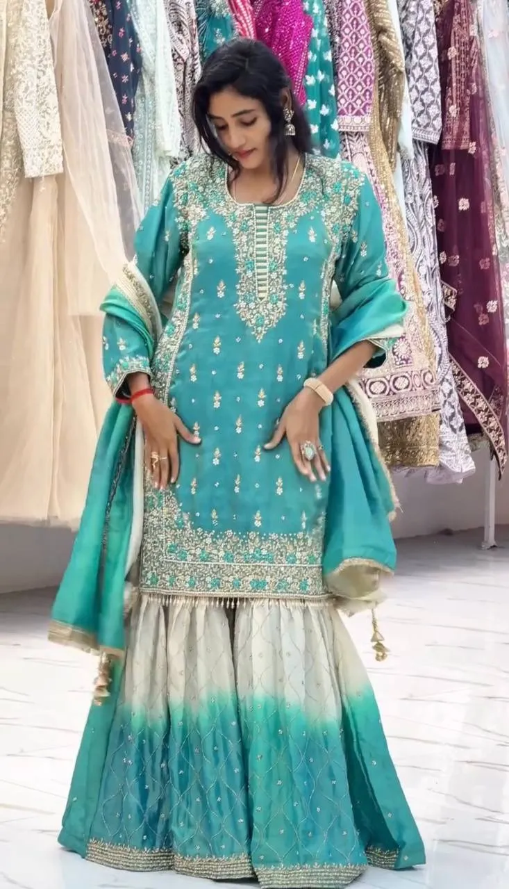 Padded Sky-blue Pakistani Style Sharara - Image 4