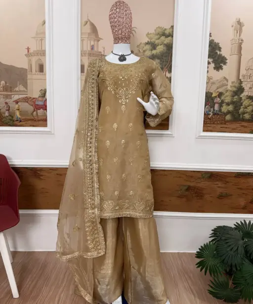 Bollywood Inspire Eid Festival Readymade Dress Chiku Color