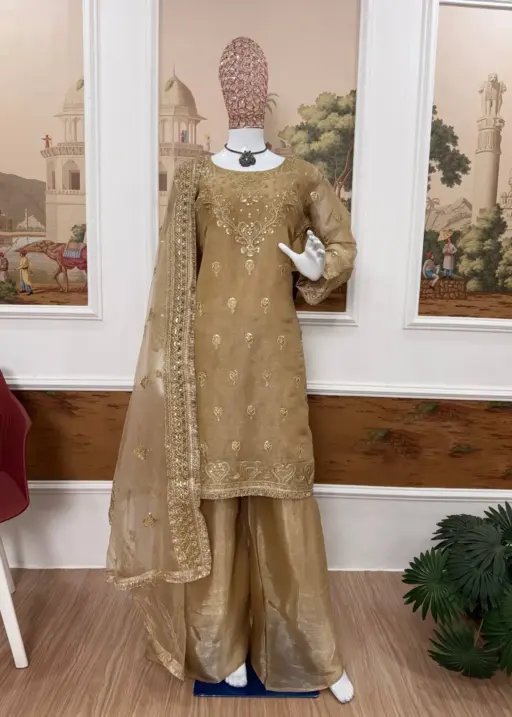 Bollywood Inspire Eid Festival Readymade Dress Chiku Color