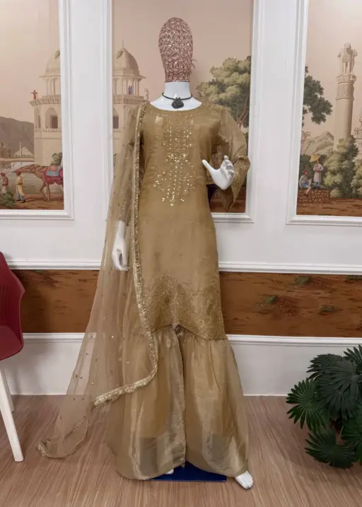 Eid Festival Readymade Dress Chiku Color