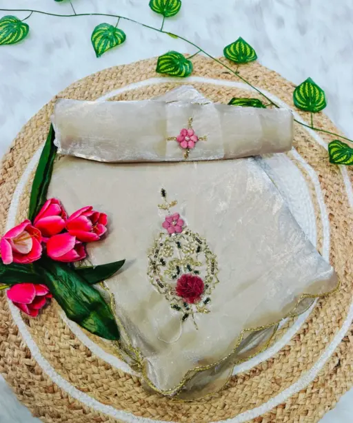 Chiku Color Handwork Saree