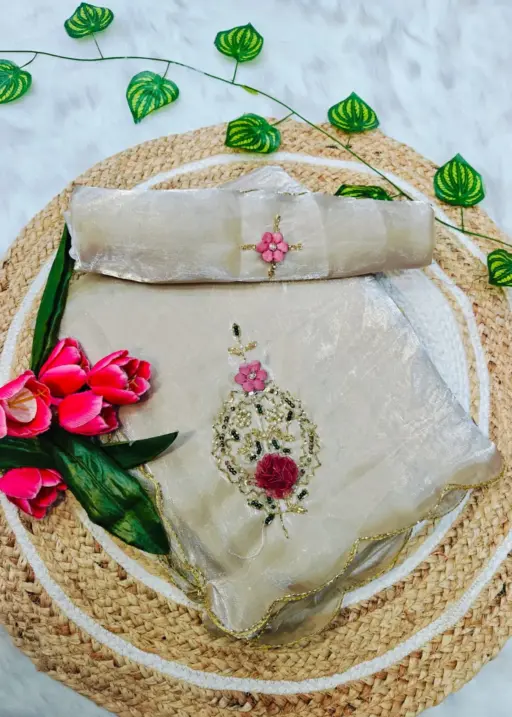 Chiku Color Handwork Saree