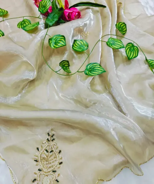 Off White Chiku Color Handwork Saree