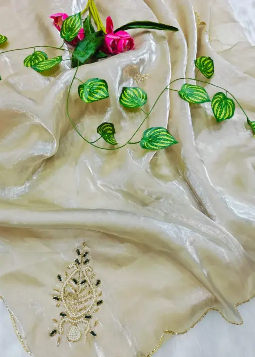 Off White Chiku Color Handwork Saree